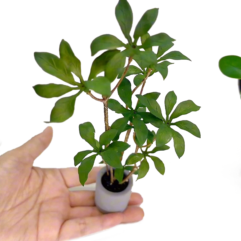 Bonsai Gardener - 1:6 Dollhouse Miniature Potted Plants Model