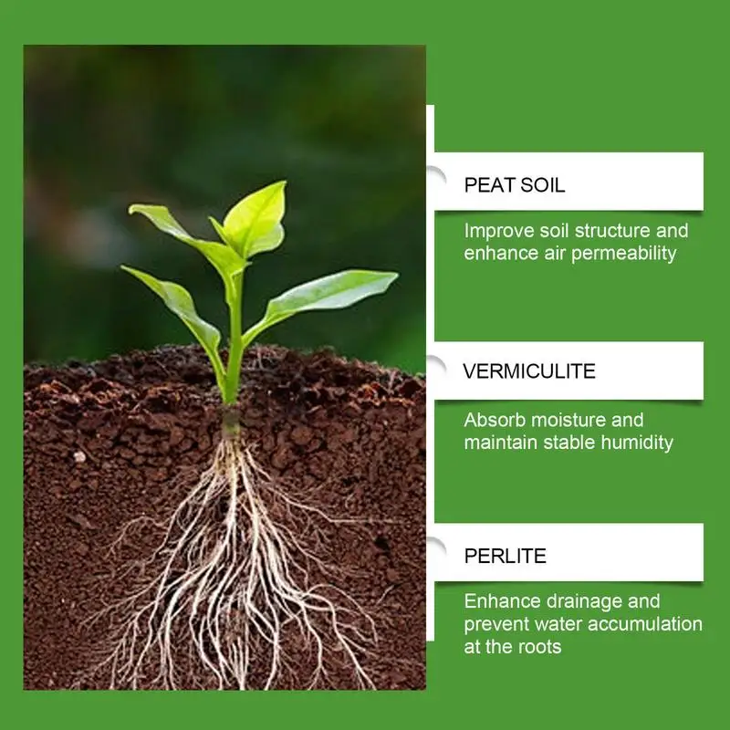 Succulent Soil Potting Mix Aer - Bonsai Gardener recension och pris