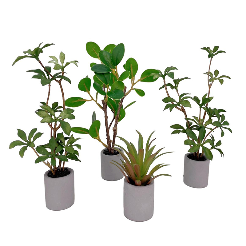 1:6 Dollhouse Miniature Potted - Bonsai Gardener recension och pris