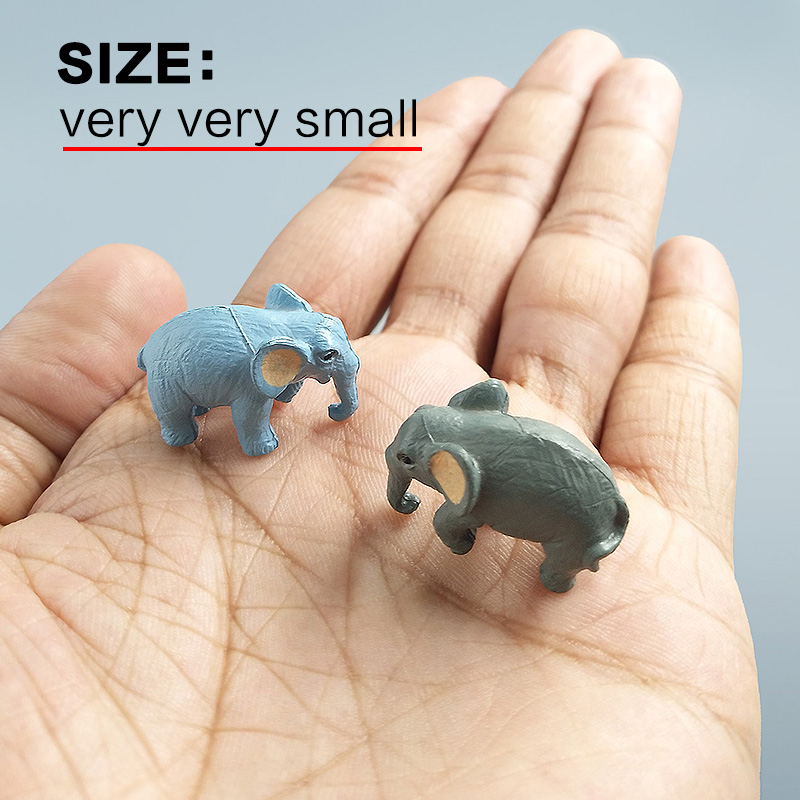 10Pcs Small Elephant Bonsai Fi - Bonsai Garden Japan recension och pris