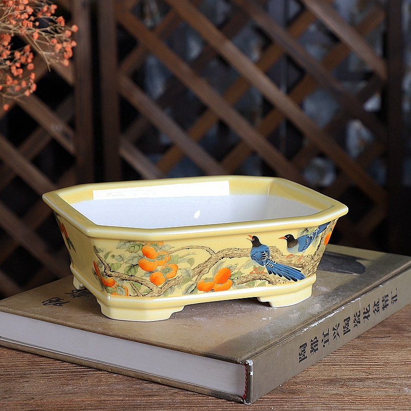 Porcelain Rectangle Bonsai Pot - Bonsai Garden Table recension och pris