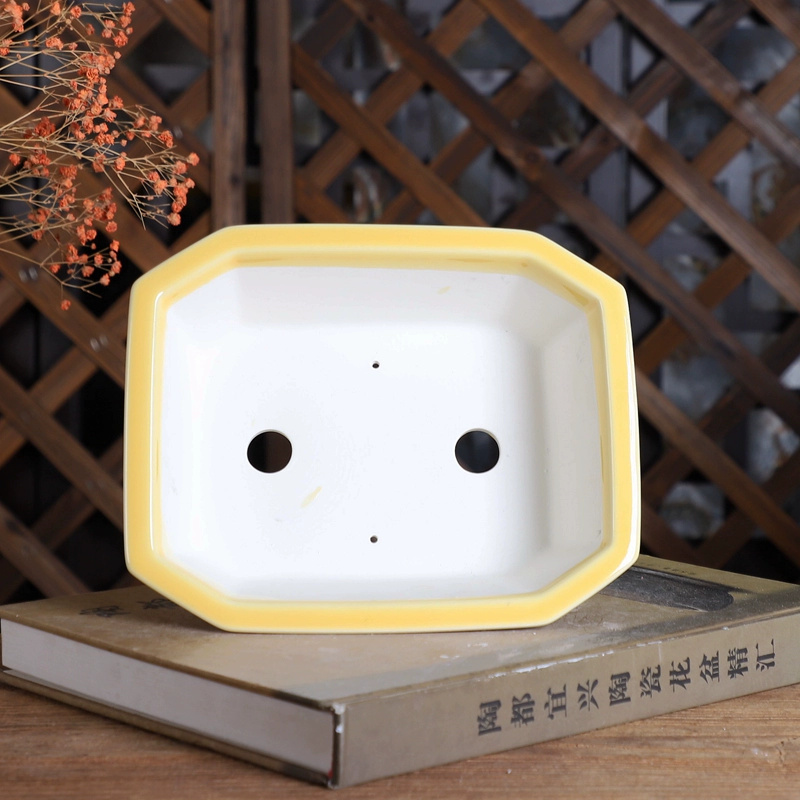 Porcelain Rectangle Bonsai Pot - Bonsai Garden Table recension och pris