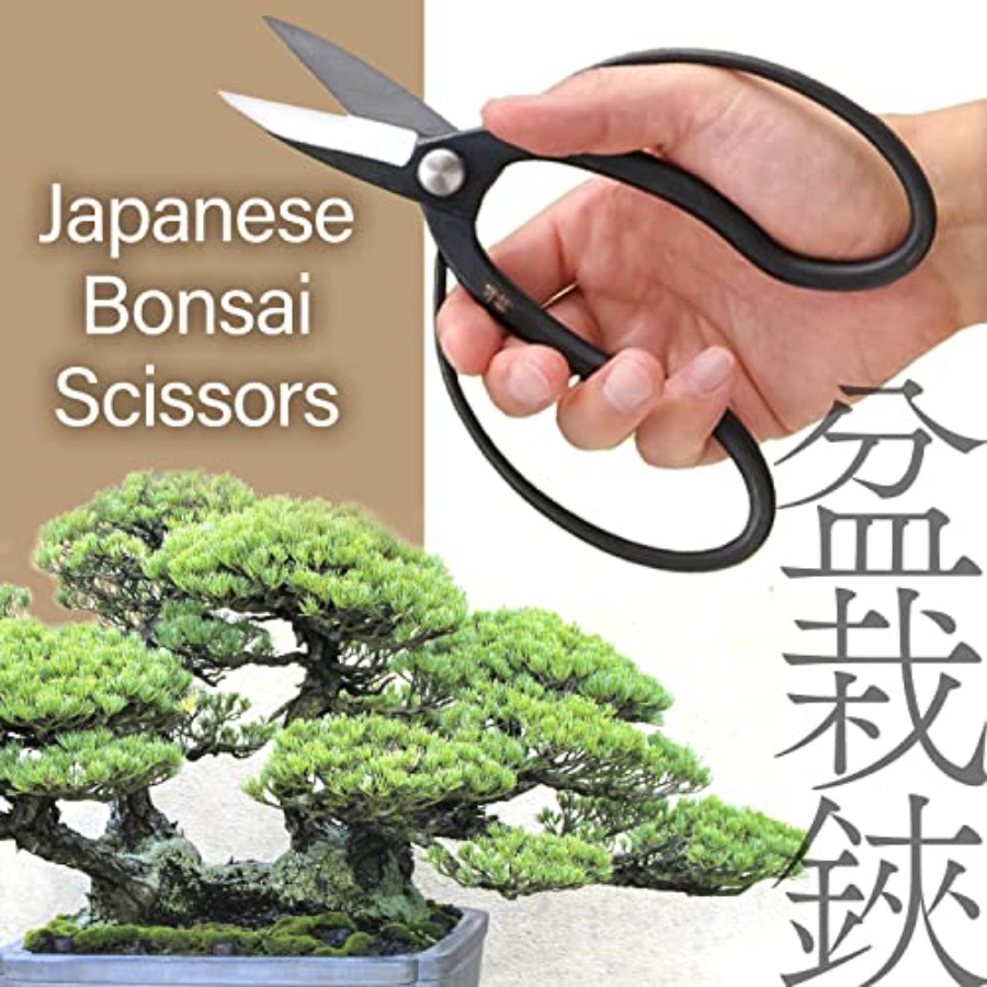 Japanese Suiryu Bonsai Scissor - Bonsai Garden Japan recension och pris